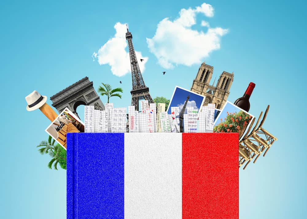 Picture of a French flag and Paris monuments